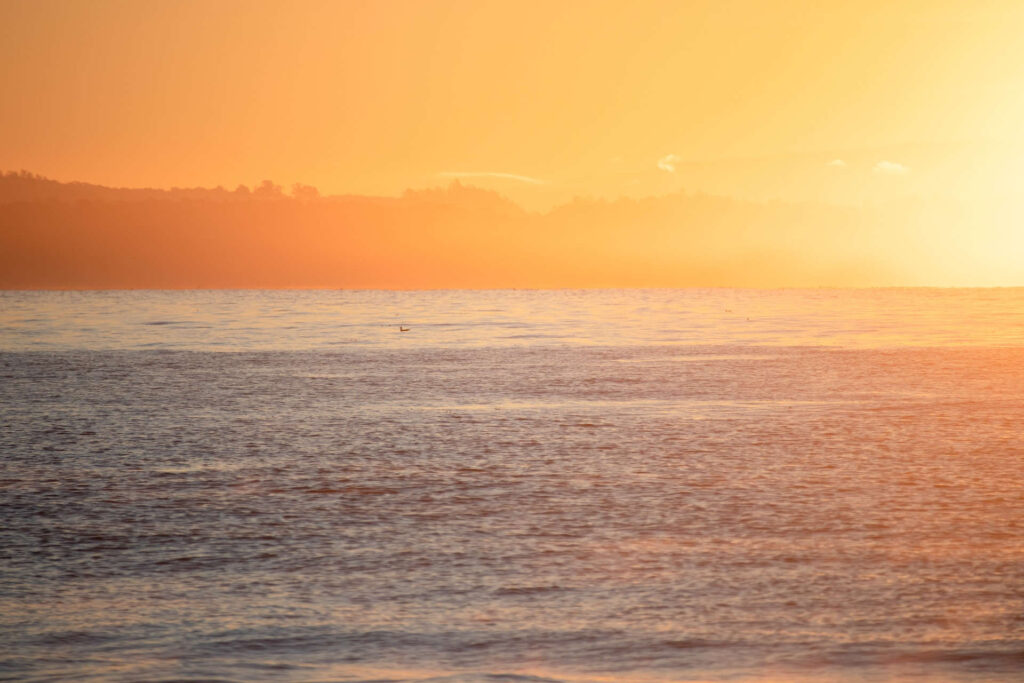 A Traveler’s Guide to Capitola Village Beachnest Vacation Rentals