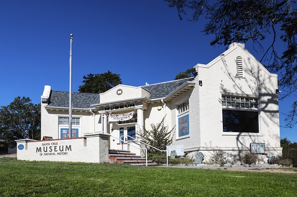 The Inner Lives of Shells - Santa Cruz Museum of Natural History