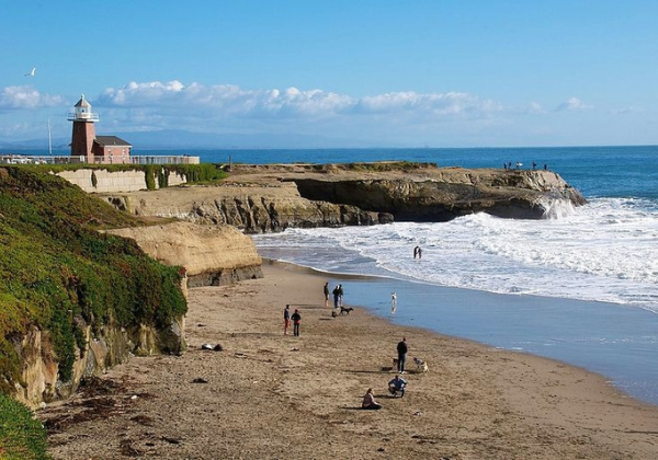 Where to See the Butterflies in Santa Cruz Beachnest Vacation