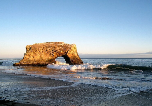 Where to See the Butterflies in Santa Cruz Beachnest Vacation