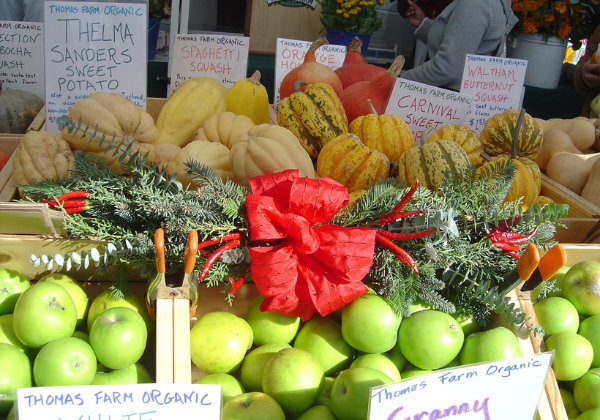 Farmers Market Fruit Basket with Banana Hanger