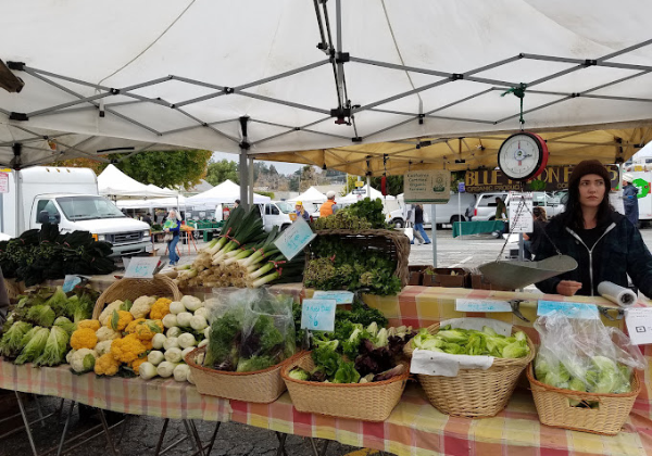 Local Farmers Markets in Santa Cruz to Enjoy Beachnest Vacation