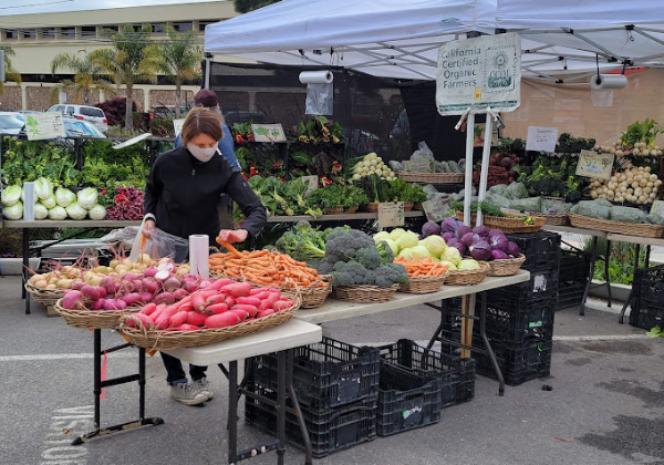 Local Farmers Markets in Santa Cruz to Enjoy Beachnest Vacation