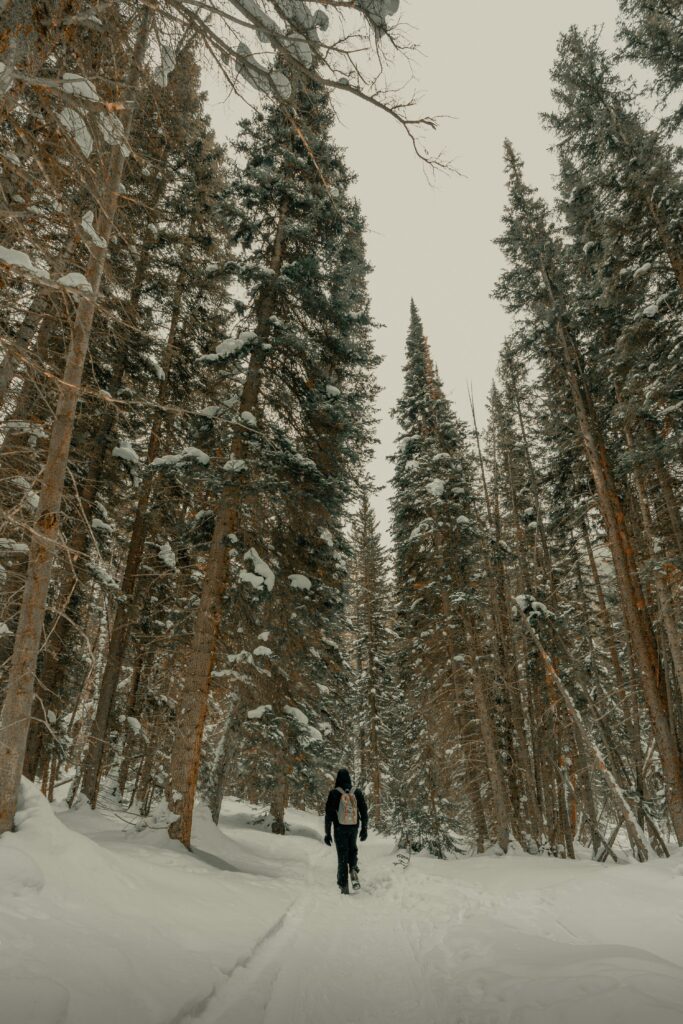 person hiking in a snowy forest - winter activities 