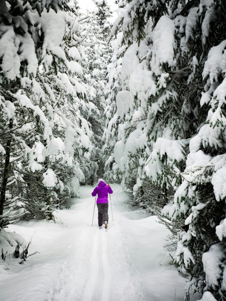 person in purple coat cross country skiing through a snowy forest
