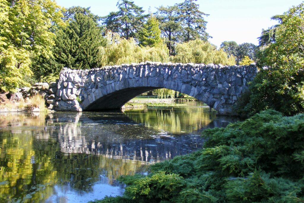 bridge over pond in a garden - beacon hill park victoria bc