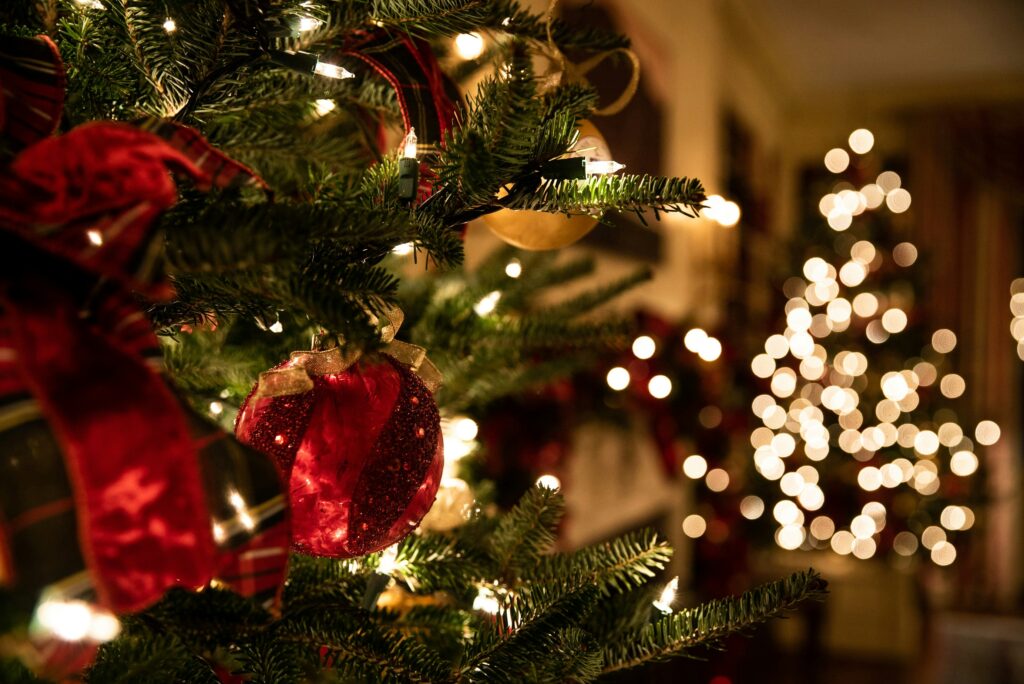 red Christmas balls on a Christmas tree with another tree in the background