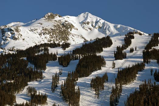 Whistler Skiing