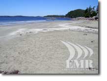 Nice beach weather in Tofino BC