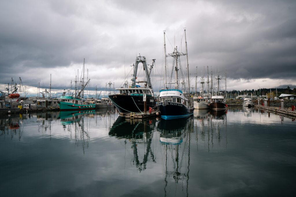 low view of the Comox Marina on a cloudy day