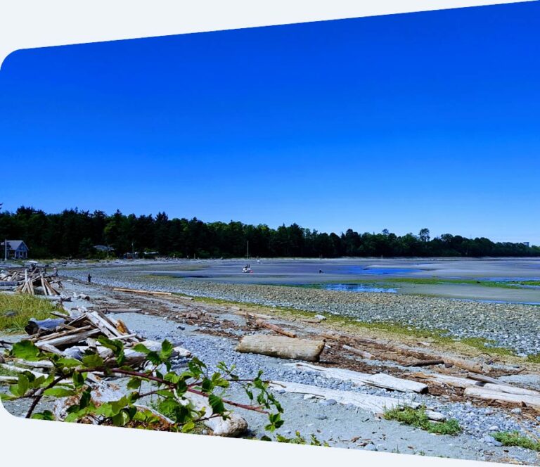 Courtenay Comox Valley BC Travel Information