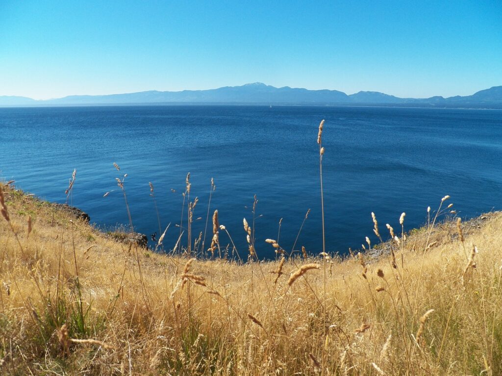 grass field over looking the ocean on hornby island - gulf islands bc