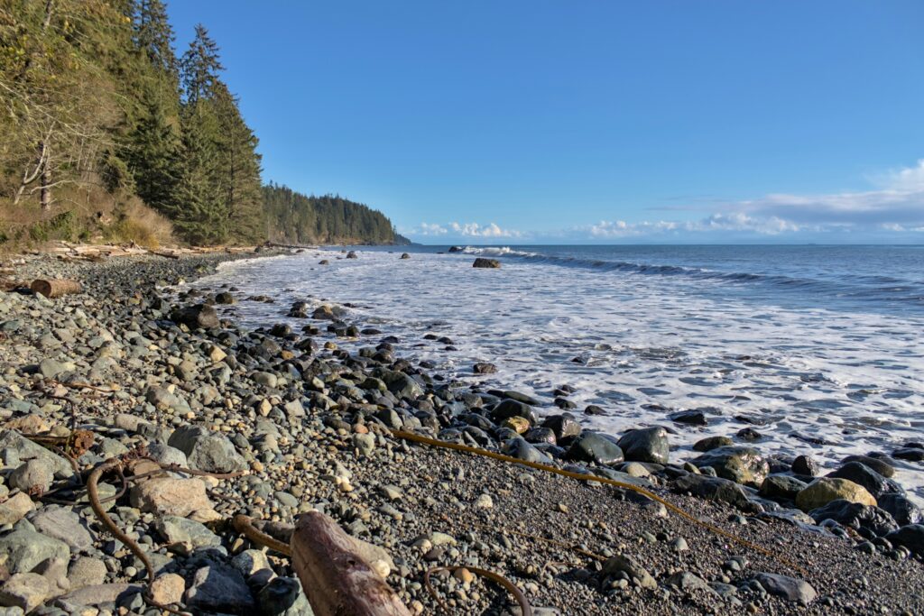 Pebbly beach bordered by a forest on a clear, sunny sky