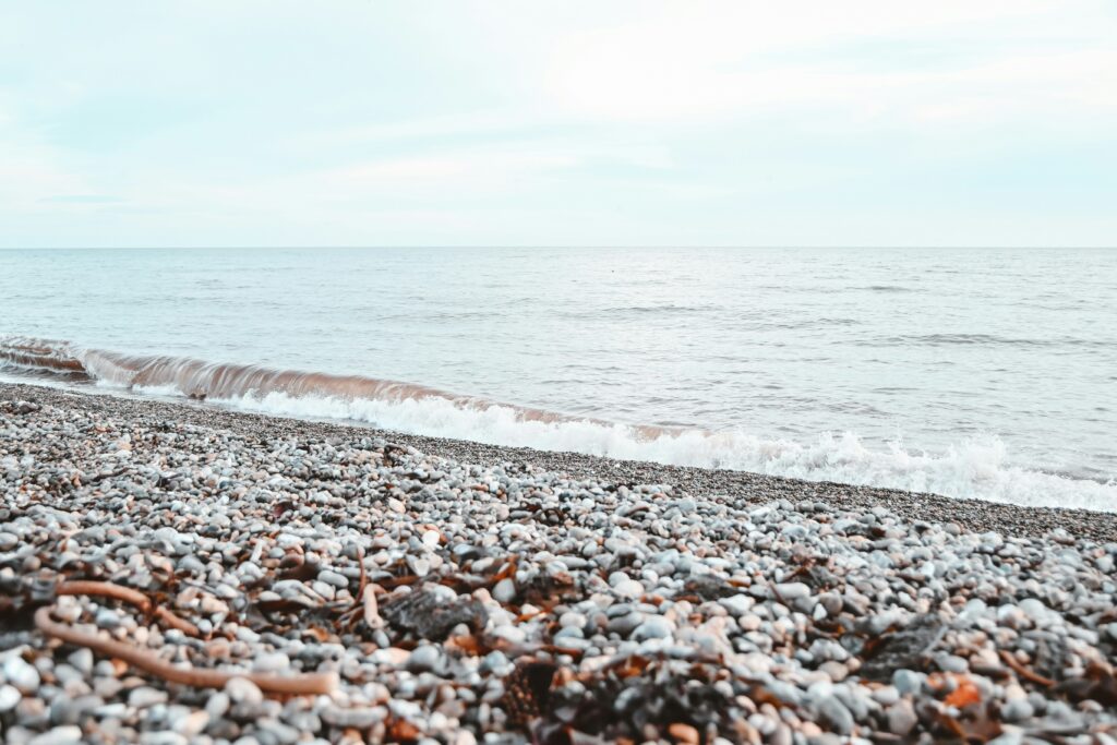 pebbly beach with kelp and bright sky