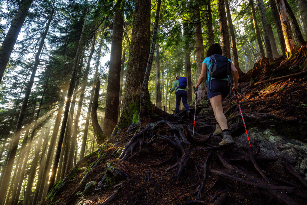 women hiking in a forested trail